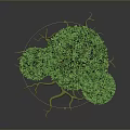 Detailed 3D Model Tree Featuring Brown Trunk Green Canopy and Yellow Aerial Roots