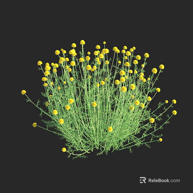 Blooming Yellow Flowers with Green Stems on Black Background for Decorative 3d model
