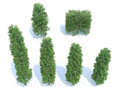 Various Shaped Arbor Trees With Lush Green Foliage For Landscape Design 3d model