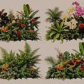 Lush Tropical Plant Combinations With Ferns Orchids Green Foliage And Colorful Flowers