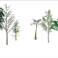 Various Trees in Outdoor Scene With Blue Sky and White Clouds 3d model