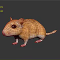 Realistic Orange Gerbil With White Paws And Black Eyes On Shiny Surface