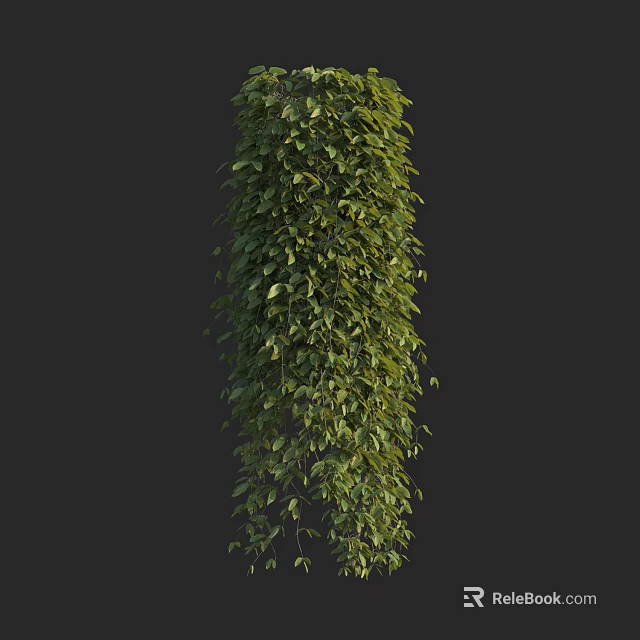 Lush Green Vines With Dense Foliage Growing Vertically On Dark Background 3d model 