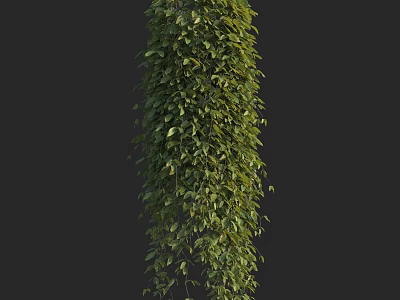 Lush Green Vines With Dense Foliage Growing Vertically On Dark Background 3d model