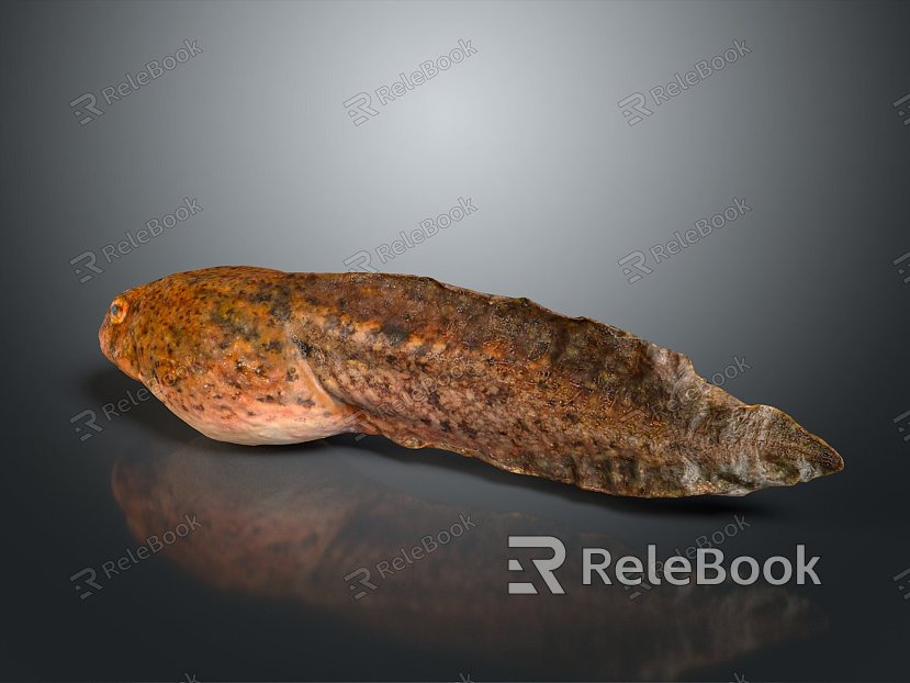 eel electric eel marine fish animal deep sea fish model