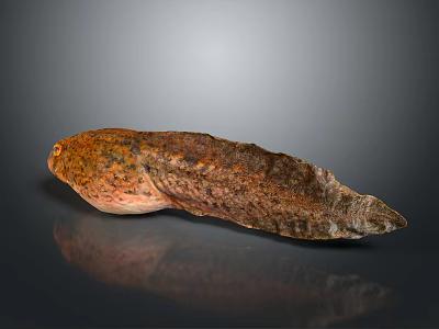 Unique Aquatic Animal With Orange Brown Spotted Rough Textured Elongated Body 3d model
