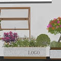 Outdoor Plant Combination Featuring Planter Boxes Colorful Flowering Tree Purple Leaf Plants Green Shrubs Herbs