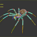 Brown Spider With Long Legs On Dark Reflective Background Close Up View 3d model