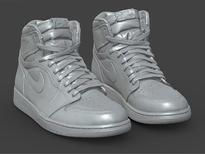 Silver High Top Lace Up Shoes With Metallic Finish And Stylish Design 3d model