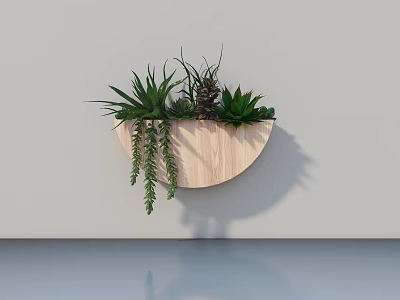 Wall Mounted Wooden Semicircular Planter With Various Succulents And Hanging Plants 3d model
