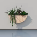 Wall Mounted Wooden Semicircular Planter With Various Succulents And Hanging Plants