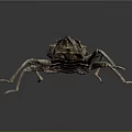 Brownish Gray Insect Larva With Rough Exoskeleton Segmented Body And Multiple Legs On Dark Background 3d model
