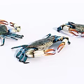 Three Aquatic Crabs With Blue Green Shells And Orange Claws On White Background