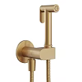 Modern Gold Handheld Shower Head with Flexible Hose and Wall Mount
