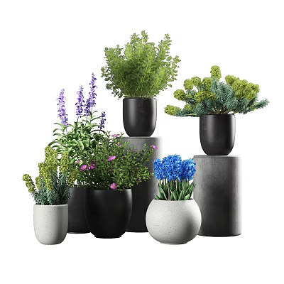 Varied Potted Plants With Black White Pots And Cylindrical Stands Featuring Flowering Green Foliage 3d model