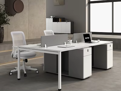 Modern Office Desk With Partition Office Chair Laptop And Storage Cabinets 3d model