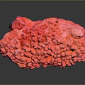 Pink Coral Natural Marine Animal Structure With Textured Surface And Dark Background
