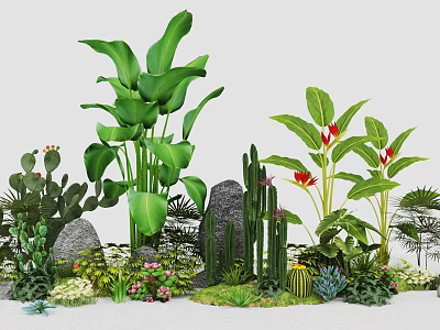 Lush Diverse Plant Combination With Large Leafy Plants Cacti Red Flowers And Small Stones 3d model