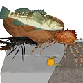 Fresh Seafood Assortment Including Fish Lobster Crab In Wooden Bowl With Lemon