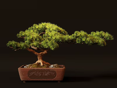 Bonsai Pine Tree With Curved Trunk And Lush Green Foliage In Brown Carved Ceramic Pot 3d model
