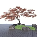 Arbor With Red Leaves Surrounded By Rocks Green Grass And Brick Pavement