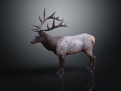 modern deer elk animal 3d model