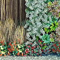 Vibrant Living Plant Wall With Diverse Green Plants Colorful Flowers And Natural Foliage