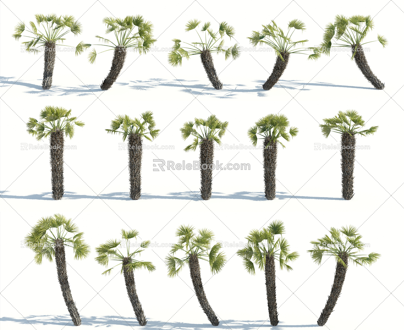 Modern Palm Tree 3d model