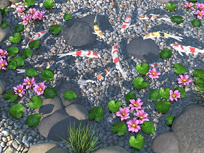 Garden Landscape With Koi Fish Swimming Among Pink Lotus Flowers Green Leaves Pebbles And Stones 3d model