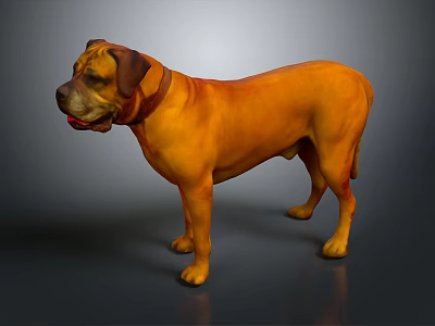 Yellow Dog With Brown Ears And Collar Standing On Gray Background 3d model