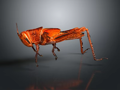 Orange Metallic Locust Decorative Figurine On Gray Background With Reflection 3d model
