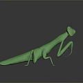 grasshopper insect cartoon locust animation locust anime locust anime game character 3d model