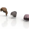Woman Wearing Different Fashionable Wigs With Various Colors And Styles