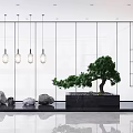 Modern Interior Garden Feature With Green Pine Tree Stones Black Base Hanging Lights And Glass Wall