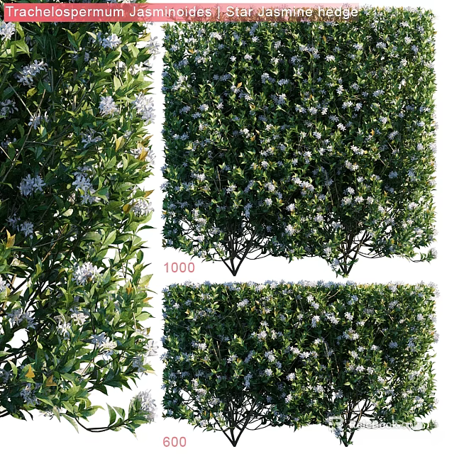 Decorative Ornament Set With Green Bushes And White Flowers For Home Decoration 3d model 