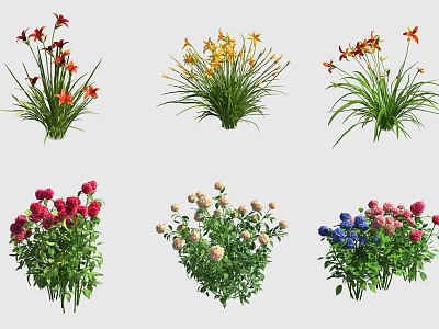 Vibrant Colorful Flowers and Green Grass in Various Types and Arrangements 3d model