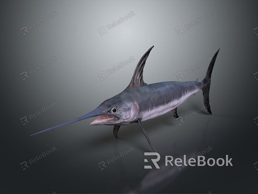 Northern bluefin tuna albacore tuna yellowfin tuna blackfin tuna model