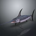 Large Swordfish Silhouette in Dark Background with Sharp Bill and Dorsal Fin Reflection 3d model