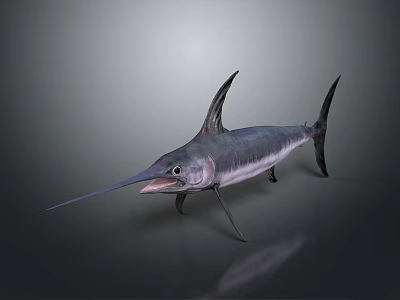 Large Swordfish Silhouette in Dark Background with Sharp Bill and Dorsal Fin Reflection 3d model
