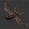 Modern Moth Animal Anime Character 3d model