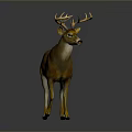 Realistic Brown Deer With Large Shiny Antlers Decorative Sculpture Standing On Gray Background