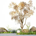 Natural Plant Combination with Golden Leaf Tree Large Rocks Pebble Ground and Green Moss
