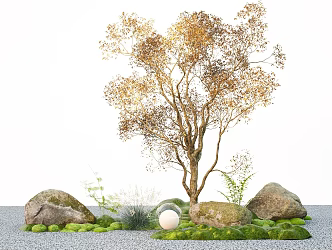 Modern Autumn Huangguo Hagoshu Courtyard Lane Park Greening Autumn Arbor 3d model