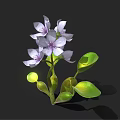 Vibrant Purple Flowering Plant with Lush Green Leaves and Stems