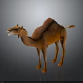 Realistic 3D Camel Model Standing With Open Mouth And Brown Orange Fur On Dark Surface