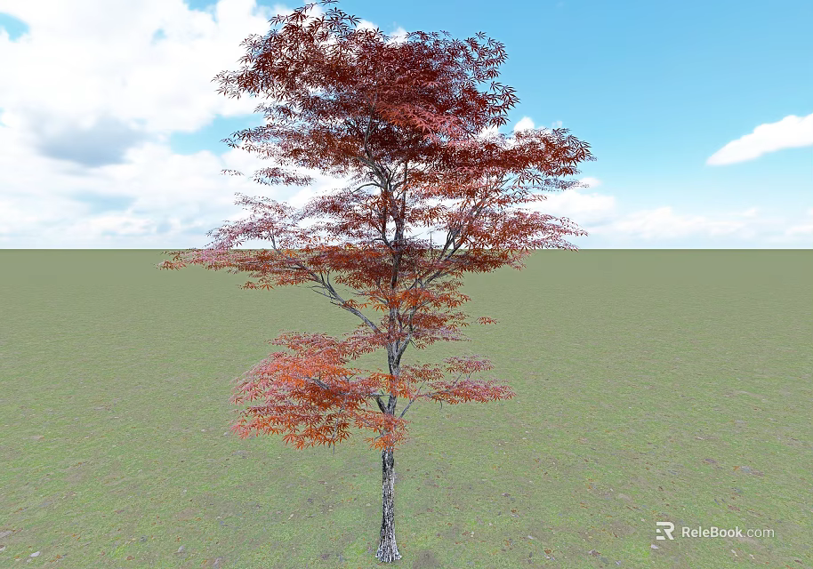 Tall Arbor With Red Leaves Standing On Green Grassland Under Blue Sky And White Clouds 3d model 