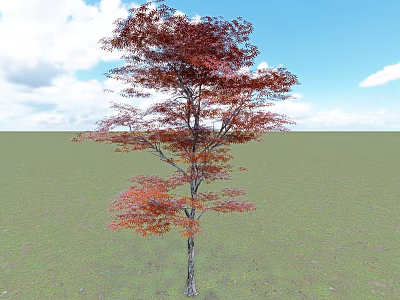 Tall Arbor With Red Leaves Standing On Green Grassland Under Blue Sky And White Clouds 3d model