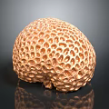 Golden Sea Urchin With Honeycomb Like Pores On Spherical Reflective Surface