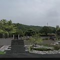 Serene Garden Landscape with Red Maple Tree Stone Steps Seating Area Pebbles and Greenery