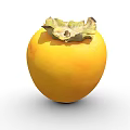 Whole Ripe Yellow Persimmon Fruit with Green Calyx on White Background